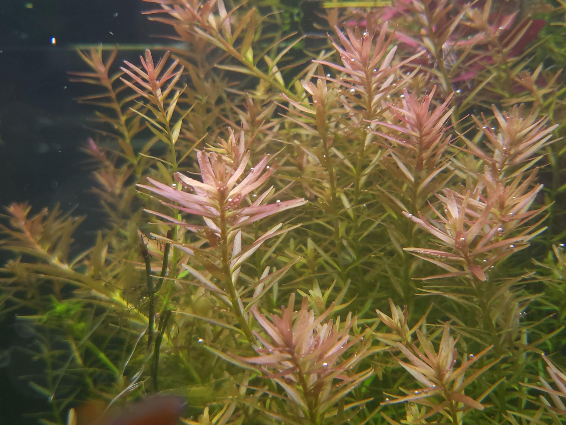 229aa29a9844e.jpg