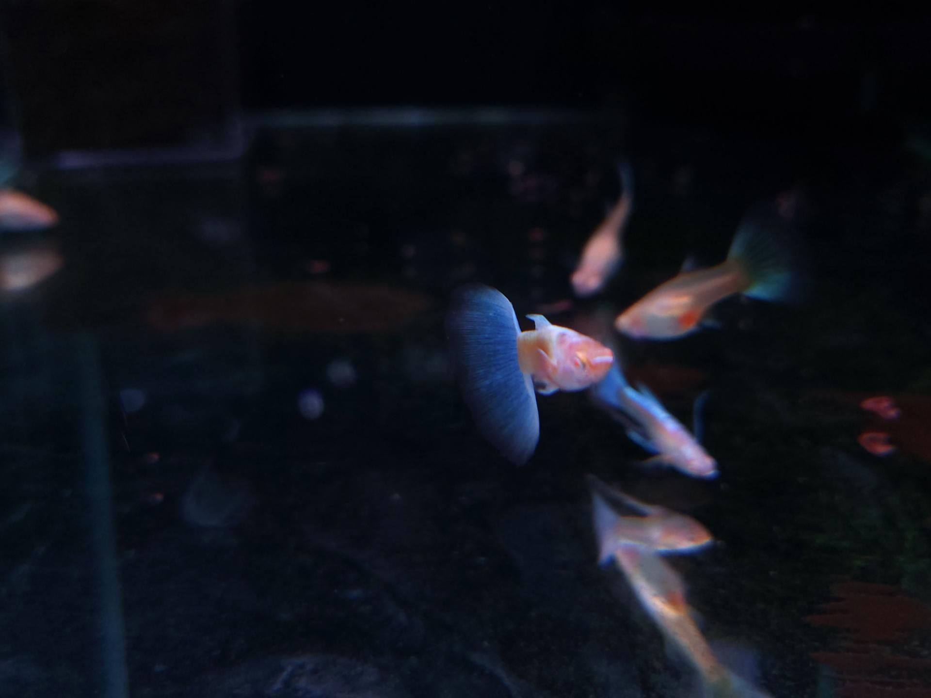 bb5c60c99fd47.jpg