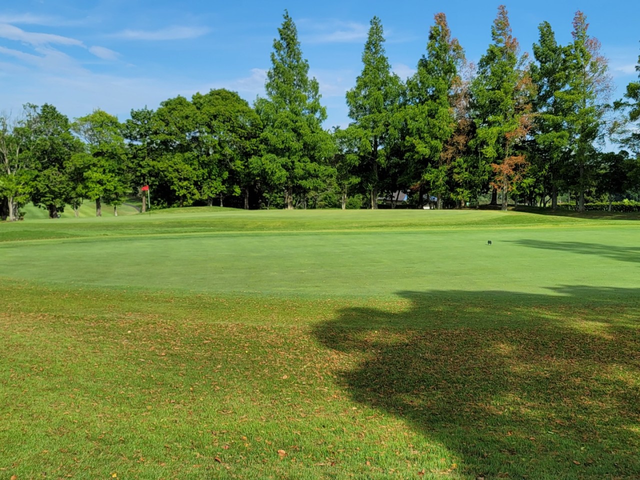⛳️ 골프에 美치다! 동경 이타코 8월 초특가 올포함