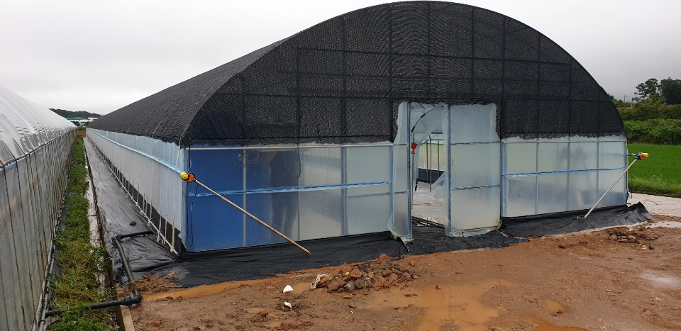 de6d143bb3fe6.jpg