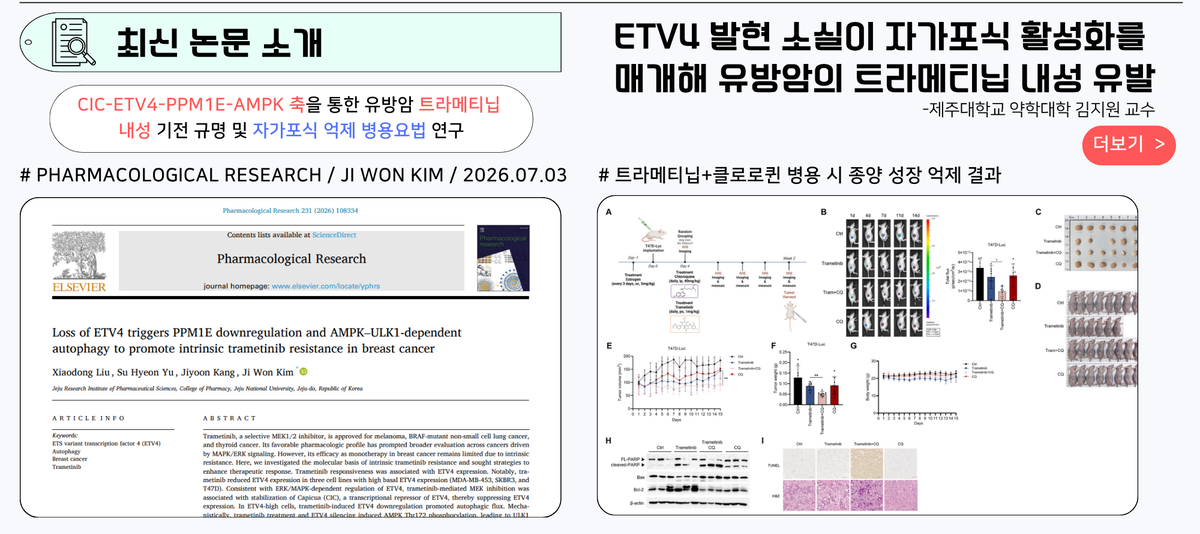 최신 논문 소개