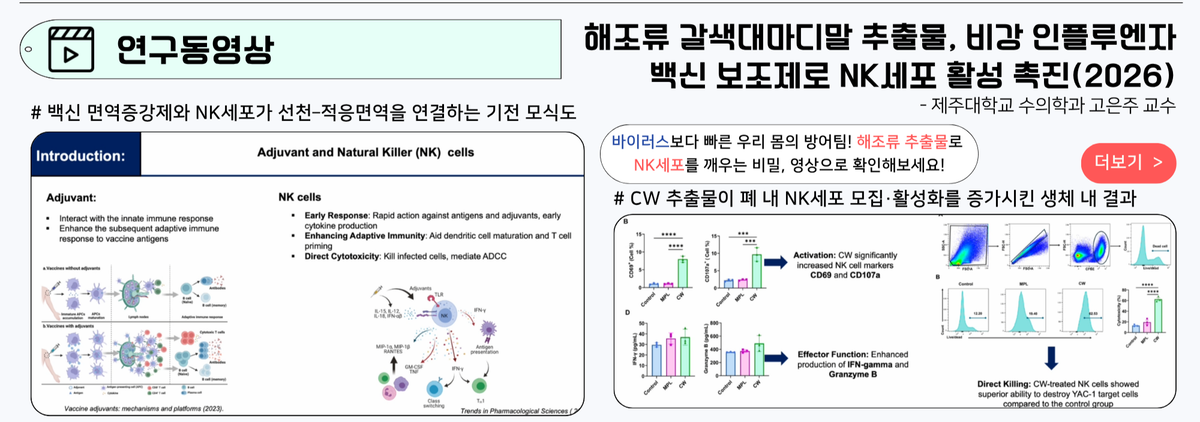 연구동영상