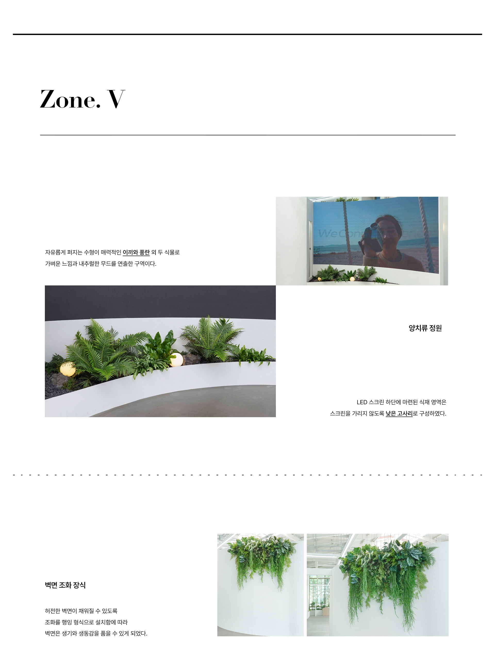 플랜테리어 카페 코너와 벽면에 활용한 양치류 정원과 벽면 조화장식에 대한 설명이다.