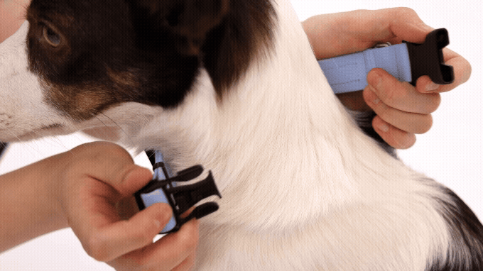0136e8e6241f3.gif