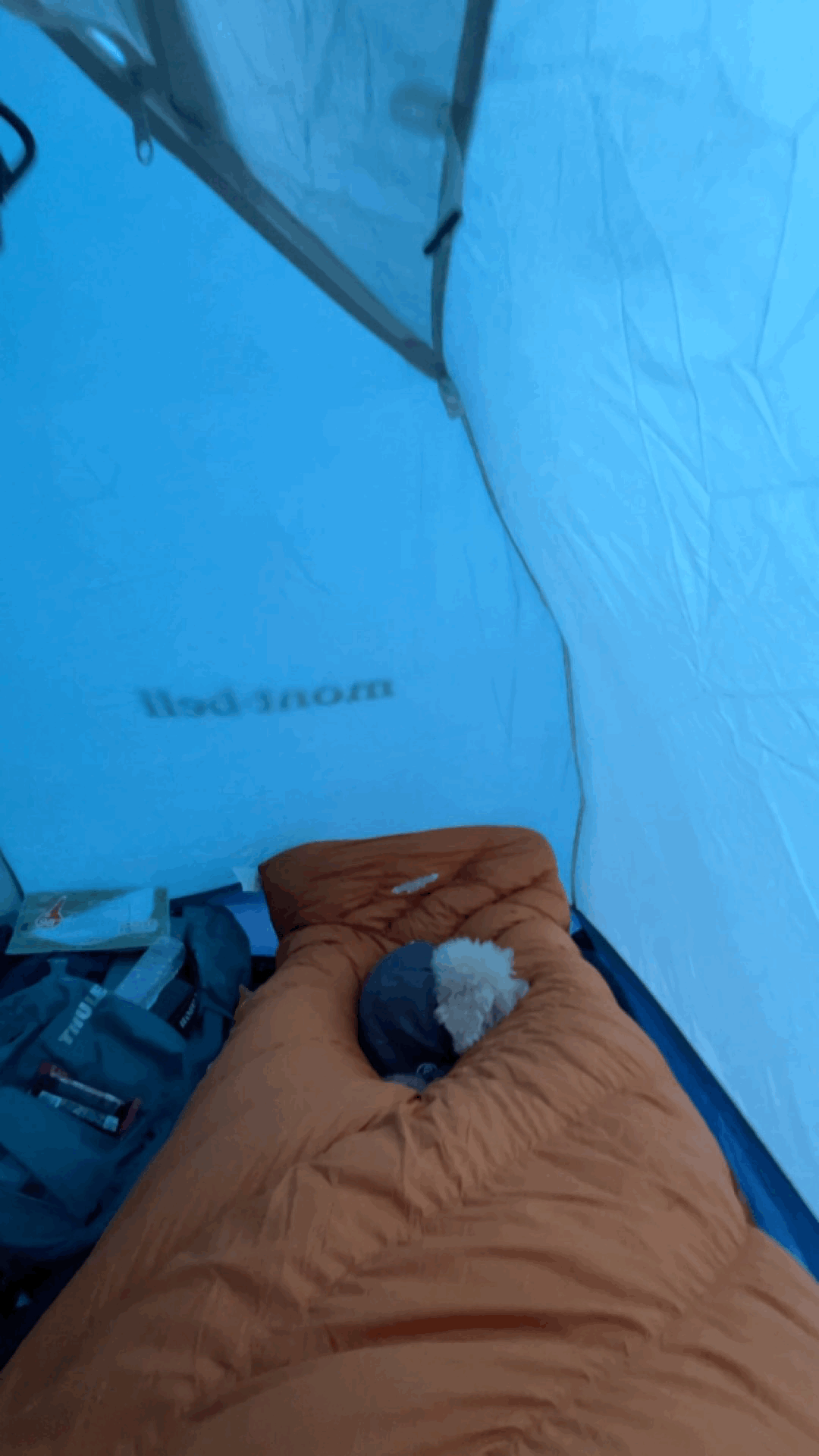 481b06558c815.gif