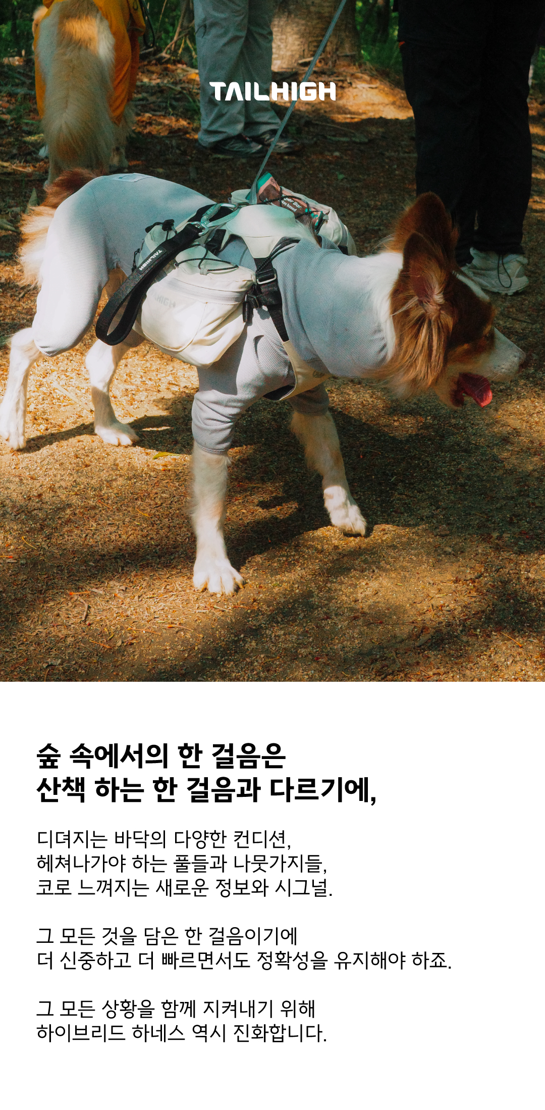 하이브리드 하네스3.0 레이븐 화이트