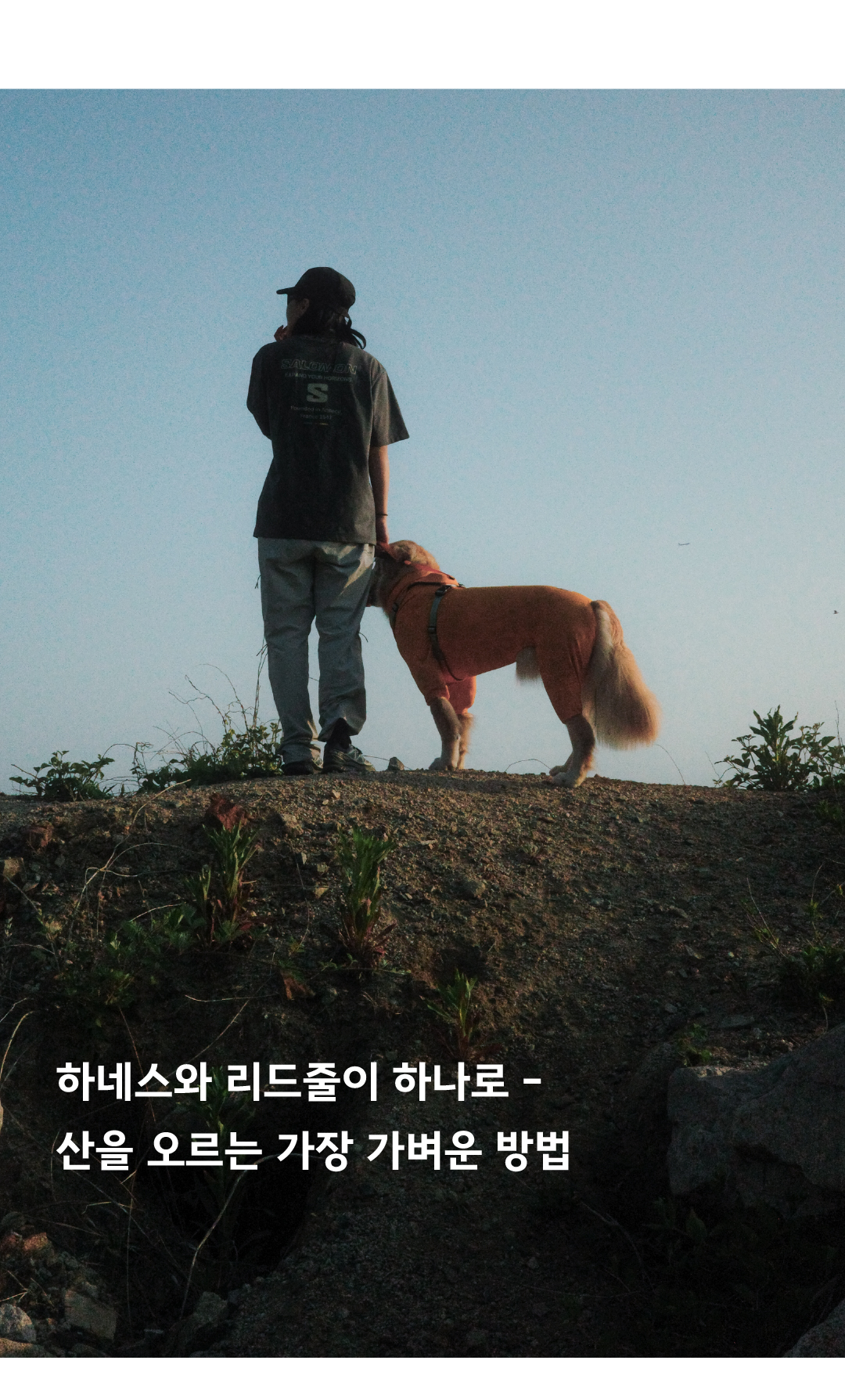 하이브리드 하네스 3.0 레이븐 화이트