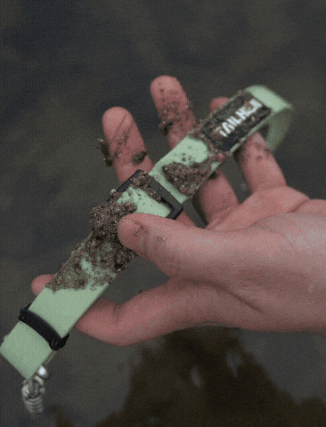 8244eff2fe3a7.gif
