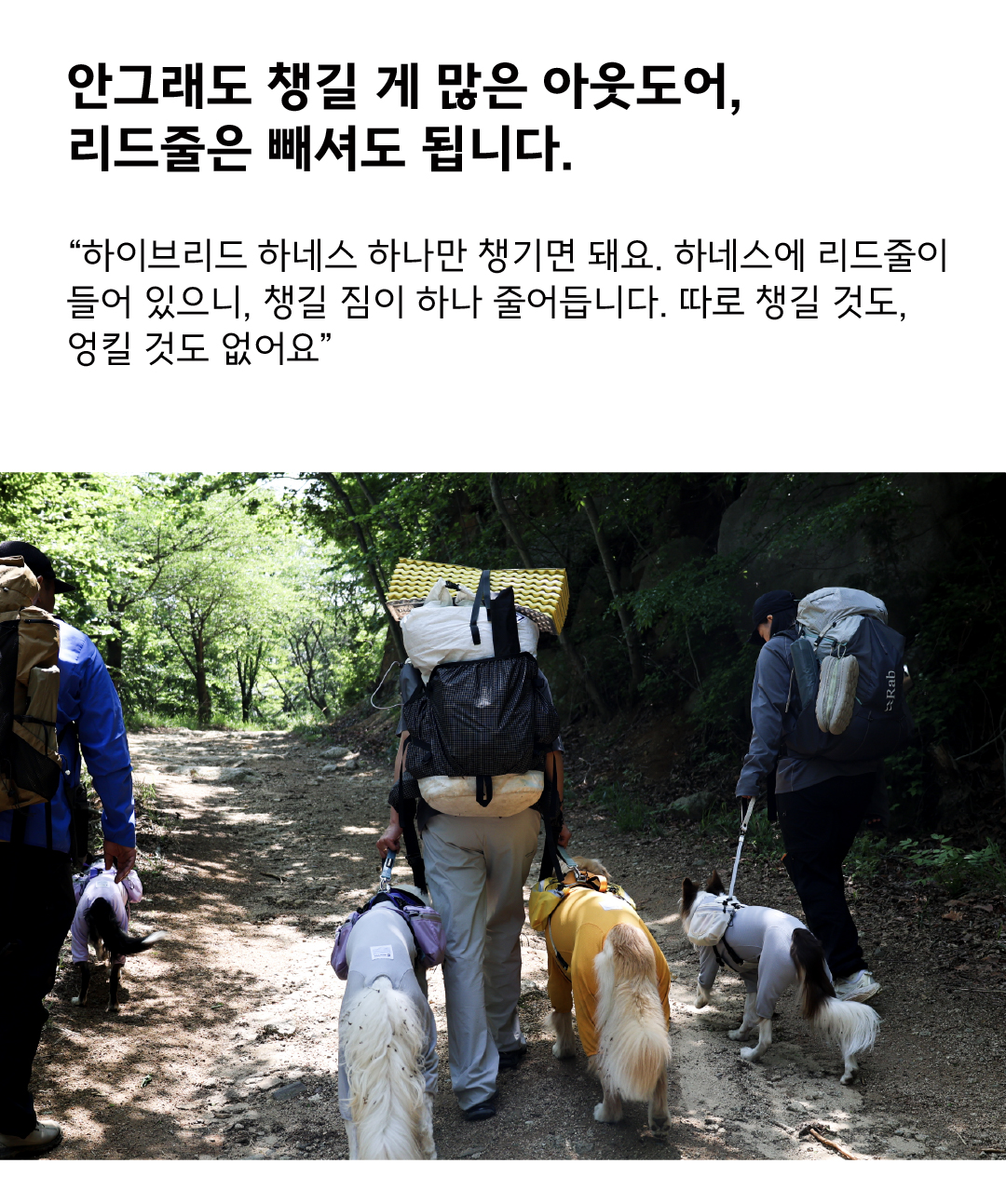 하이브리드 하네스 3.0 레이븐 화이트