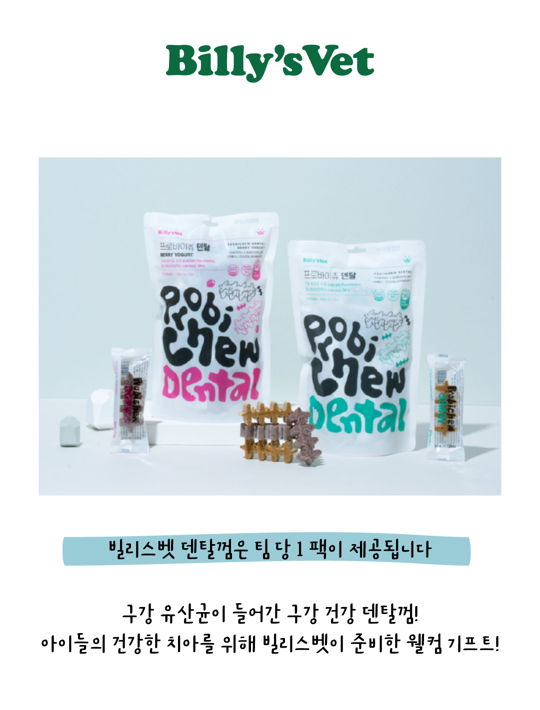 2026 테일하이 캠프 - 양양