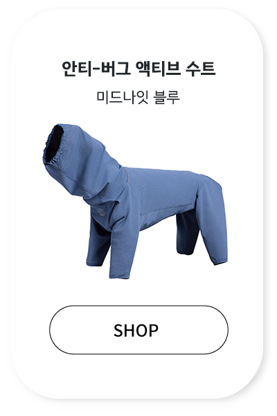 b328723da6e8b.png