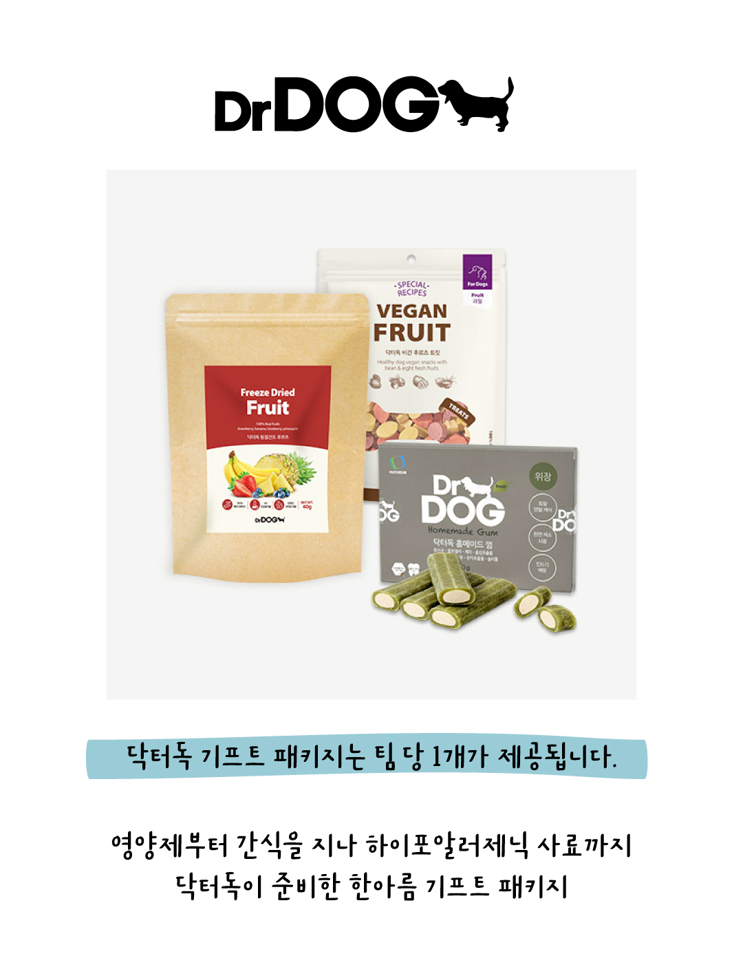 2026 테일하이 캠프 - 양양