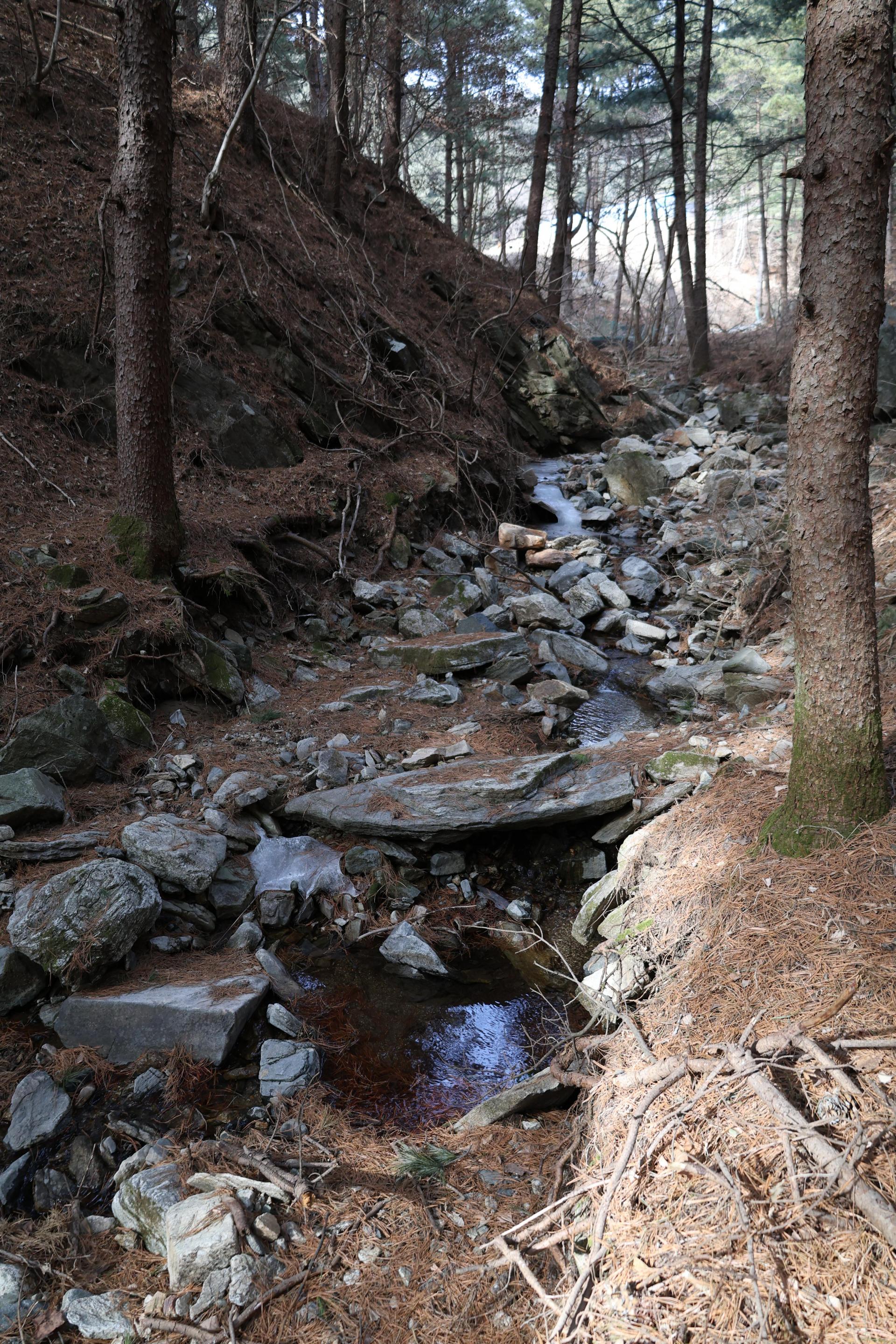 c7992fe9084ce.jpg