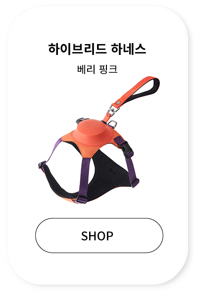 c9b1bae628922.png
