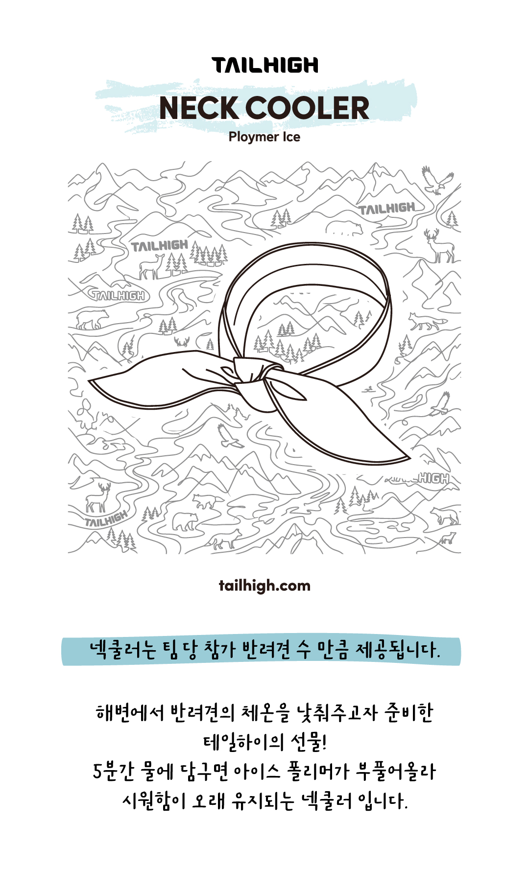 2026 테일하이 캠프 - 양양