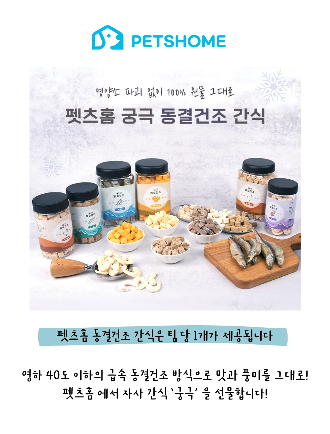 2026 테일하이 캠프 - 양양