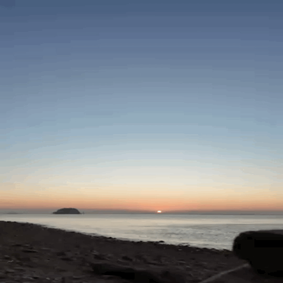 f8f9bc21b9683.gif