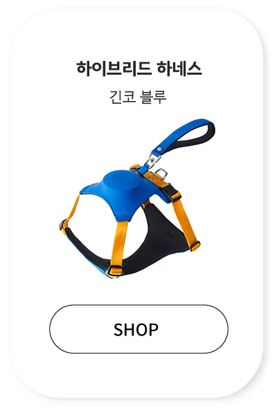 fe402c5b4eb7d.png