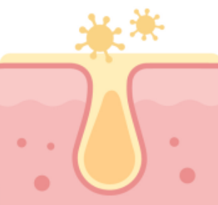 410c9ab7863a4.png