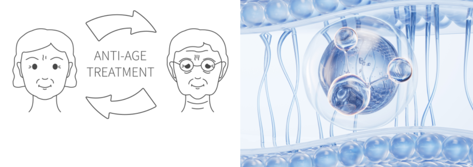 41237365d1b6e.png