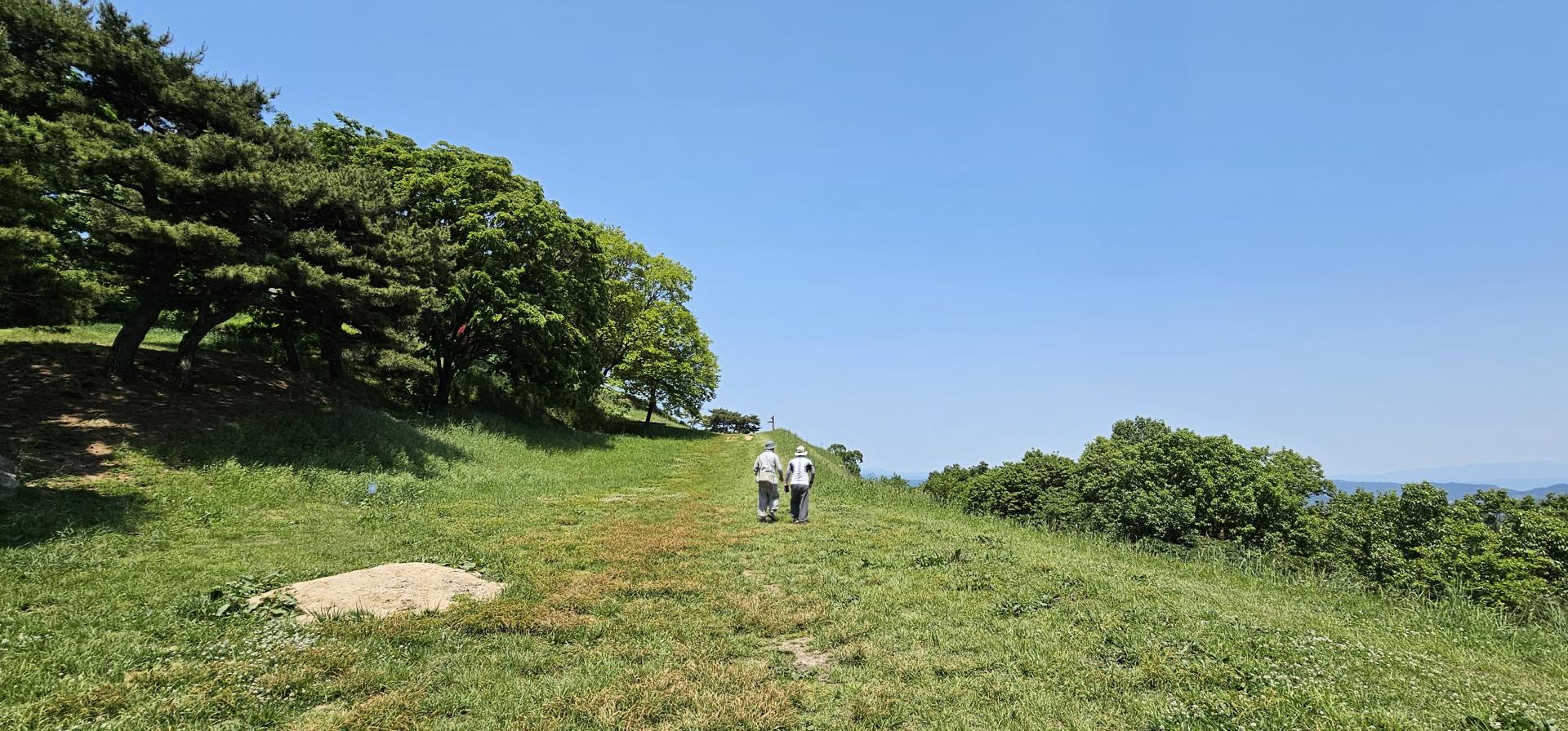 7d753a89843a5.jpg
