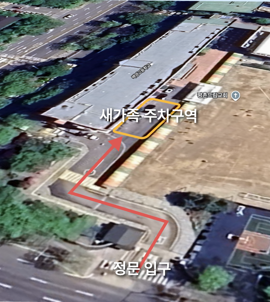 bf597ee6deec5.png