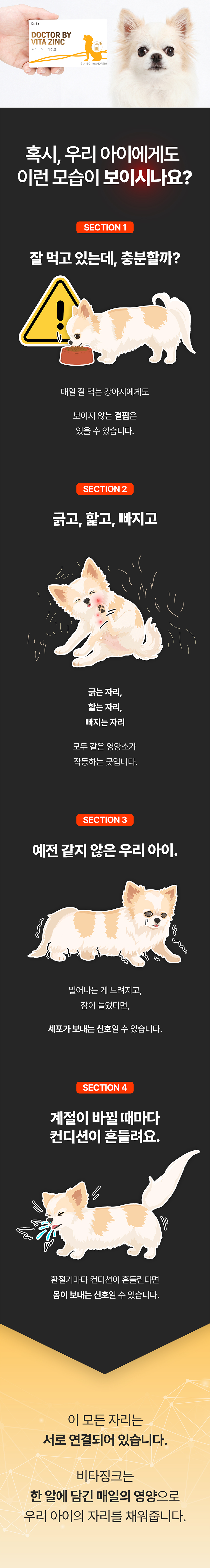 닥터바이 비타징크 강아지 종합비타민