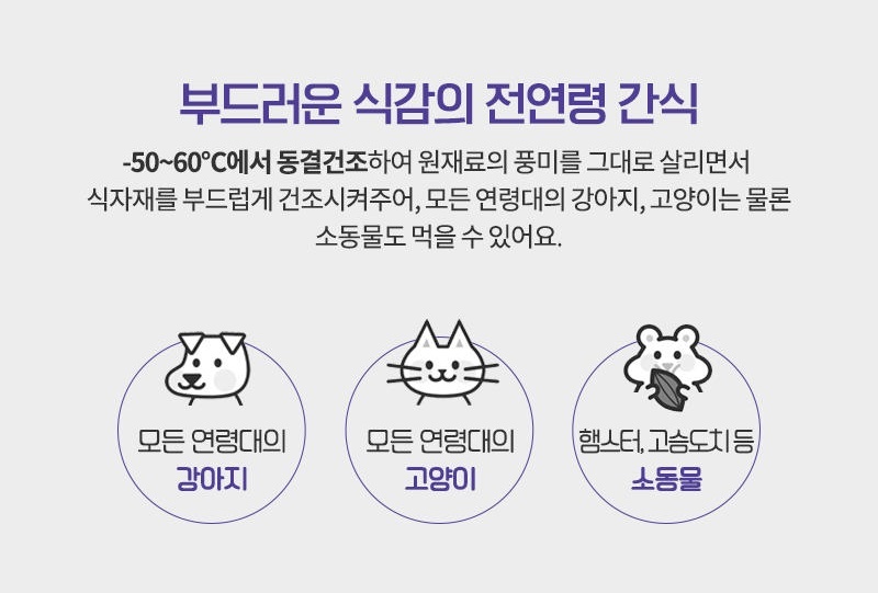 골드로니 아임리얼 북어 트릿