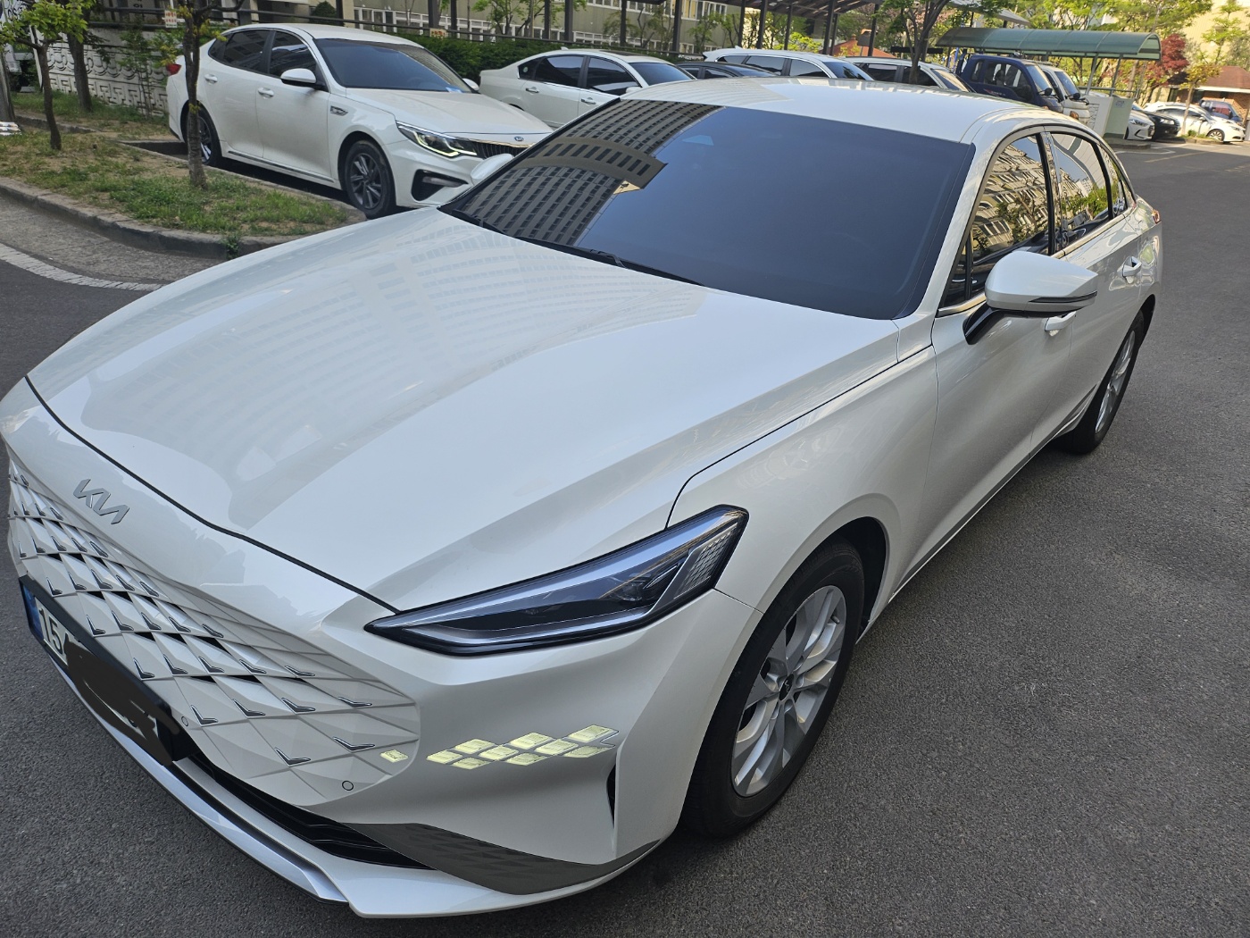ace6df8922295.jpg