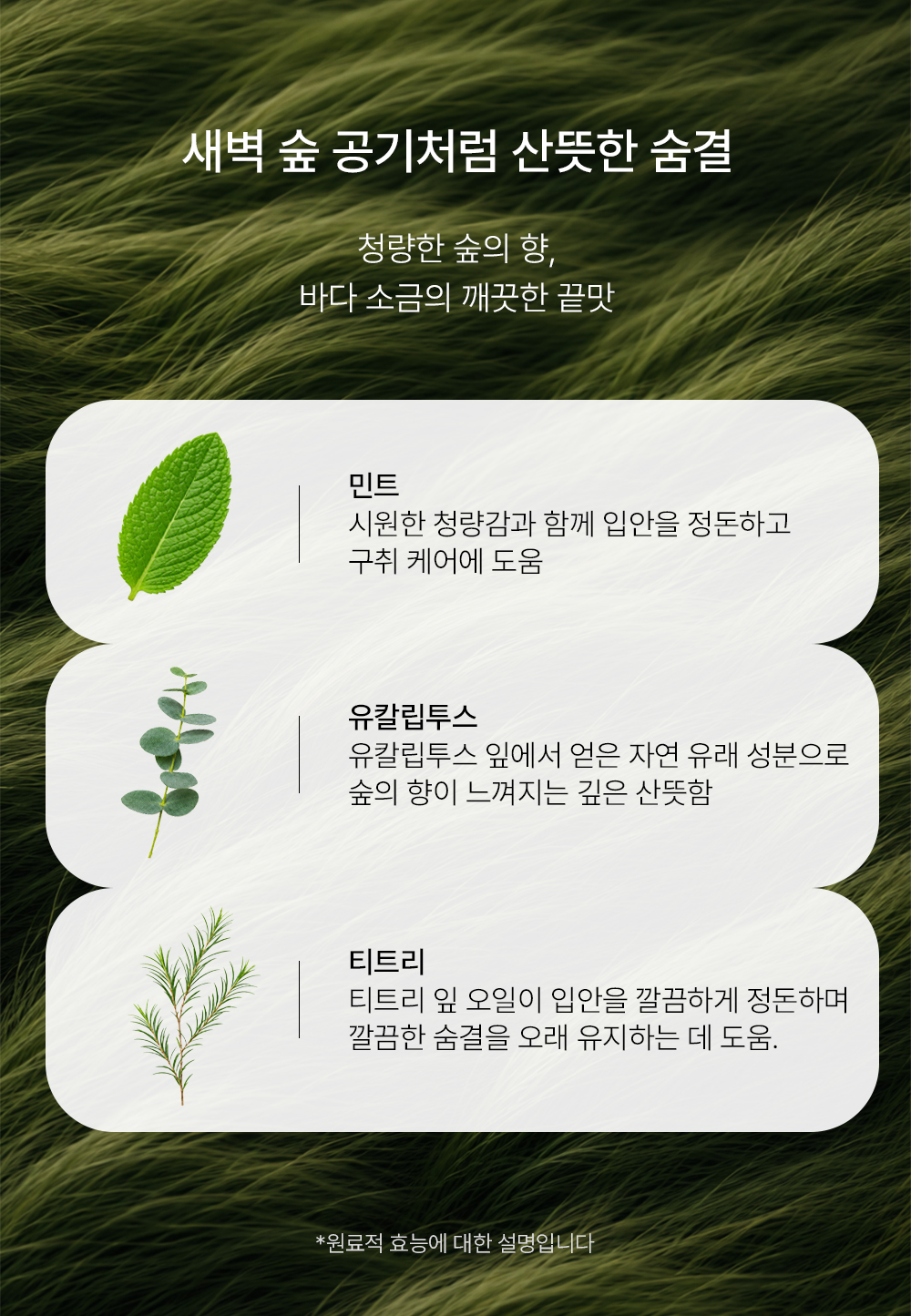 소나무소금 1.5% 잇몸 케어 가글 30개입