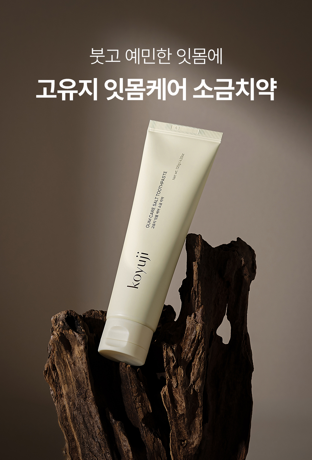 (비건인증) 소나무소금 12배 함량 잇몸집중 치약