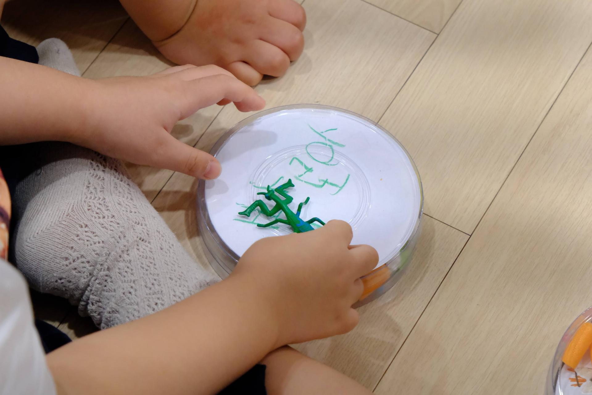 16d505500412f.jpg