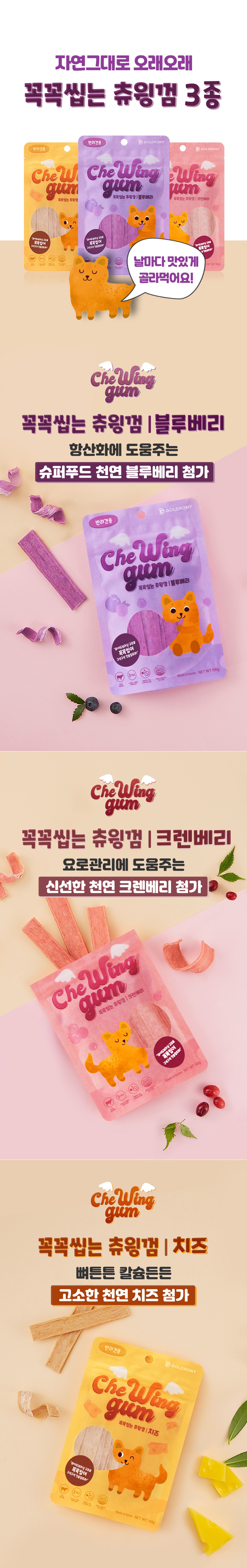 [유통기한 27.07.20] 꼭꼭씹는 츄윙껌 (블루베리)
