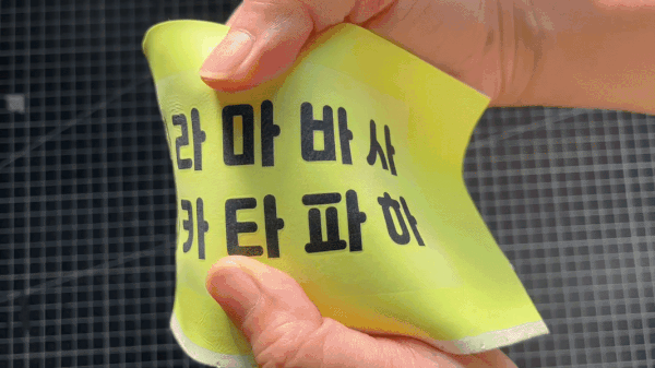 강아지 고양이 외장칩 똑딱이 인식표