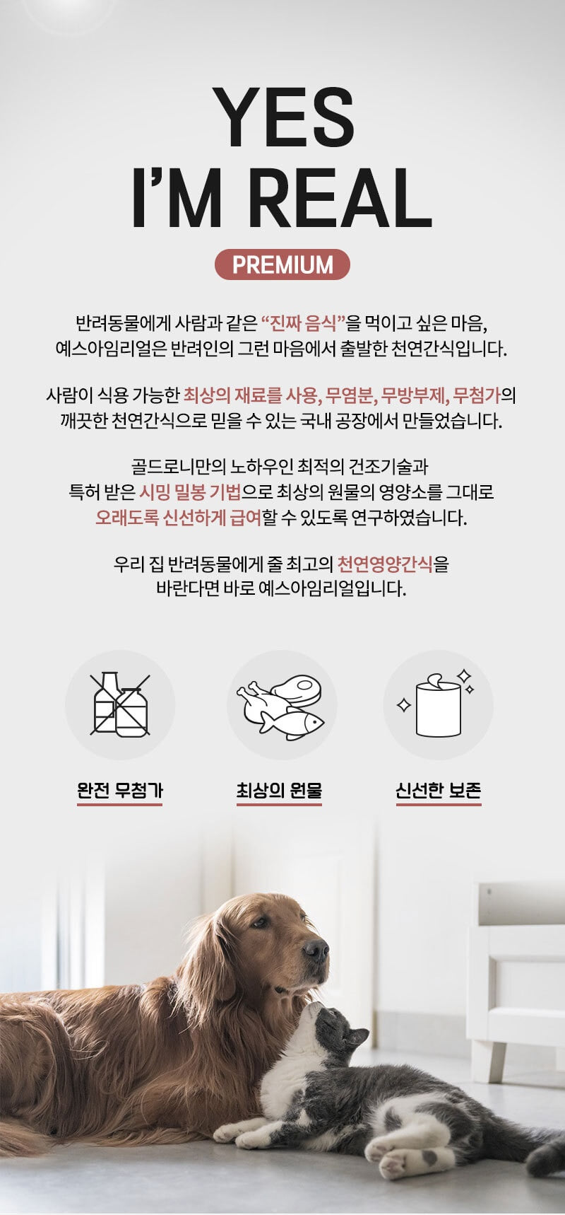 예스아임리얼 오래먹는 오리날개 수제 뼈 간식