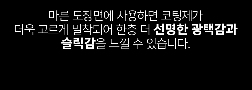 나지올 래피드 샤인 차량 광택 스프레이 500ml