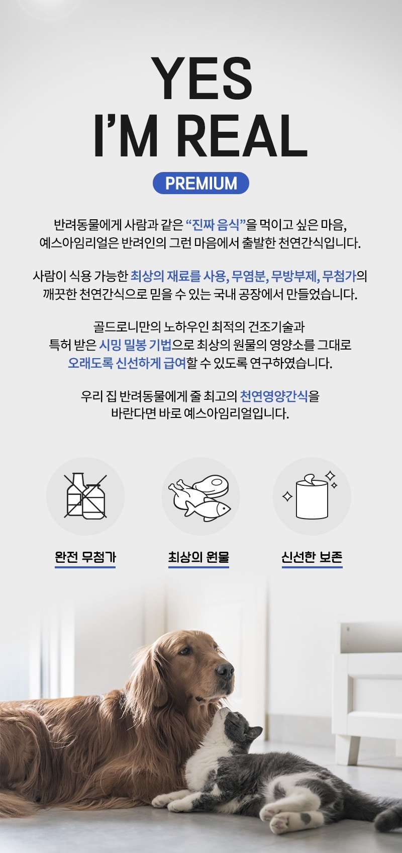 예스아임리얼 동결건조 닭가슴살 트릿 저지방 고단백 간식