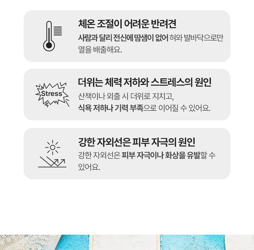 [쿨링] 강아지 아이스팩 러블리 쿨조끼