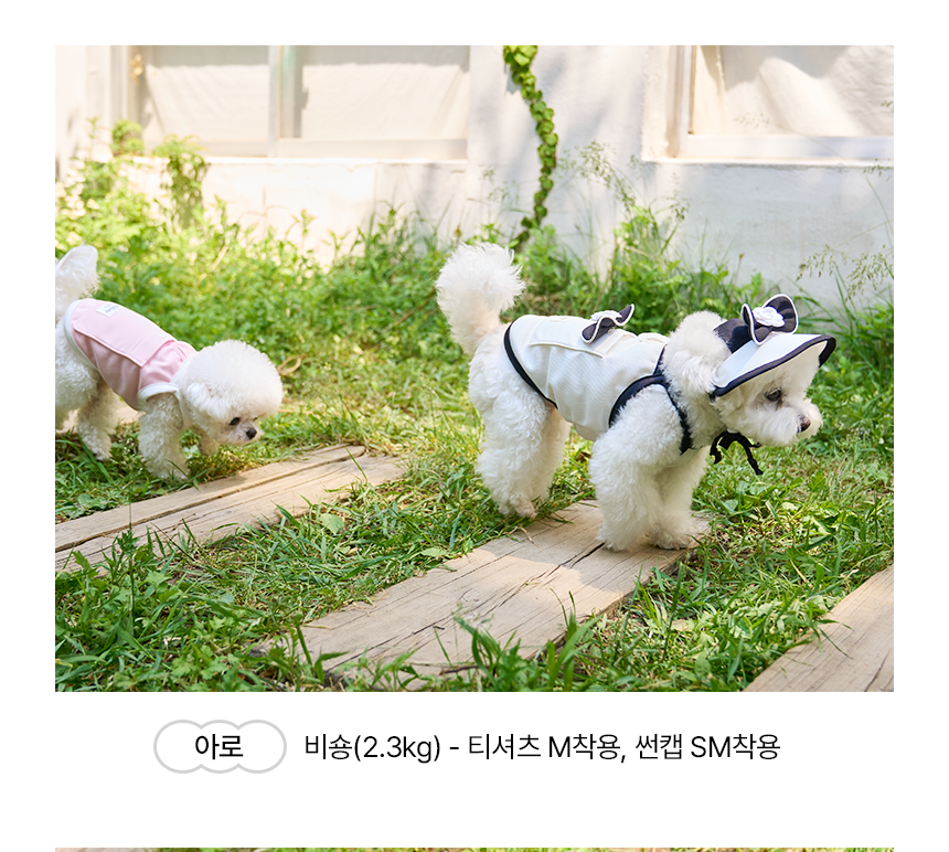[쿨링] 강아지 아이스팩 러블리 쿨조끼