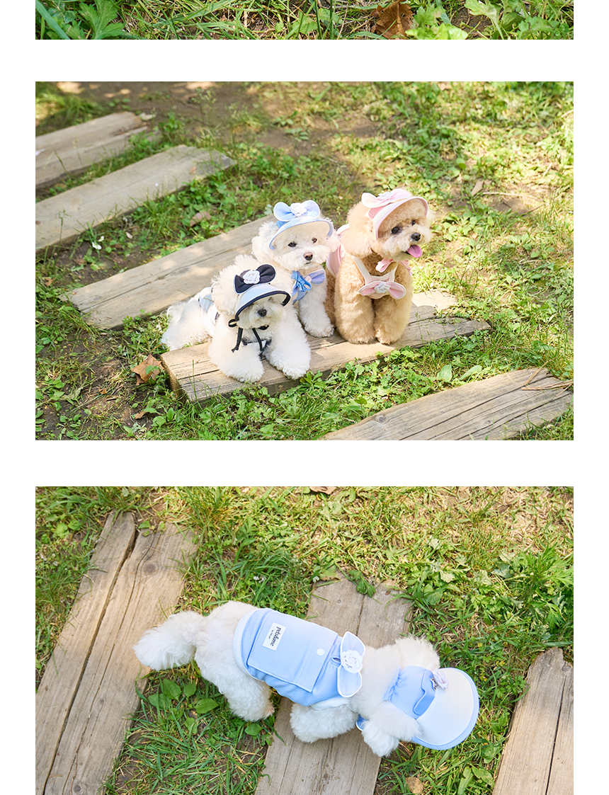 [쿨링] 강아지 아이스팩 러블리 쿨조끼
