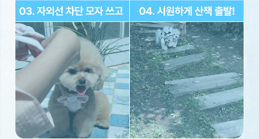 [쿨링] 강아지 아이스팩 러블리 쿨조끼