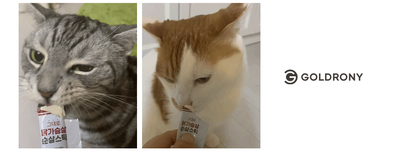 [3+1] 골드로니 그대로 순살스틱 4P 5종 강아지 고양이 츄르 간식
