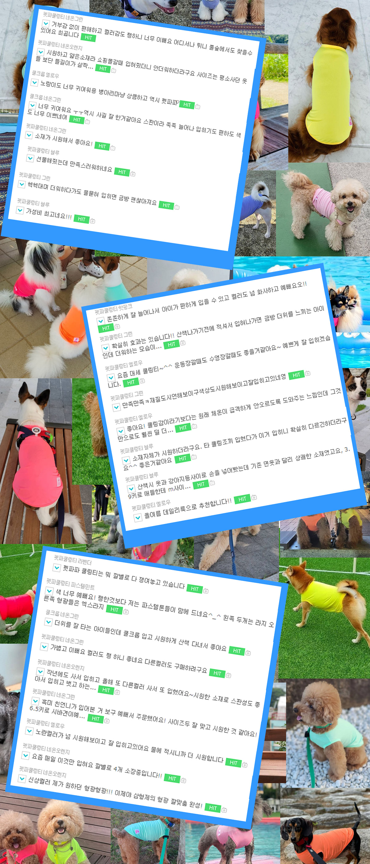 [바캉스준비] 바다 탐험대 강아지 여름 쿨매쉬 티