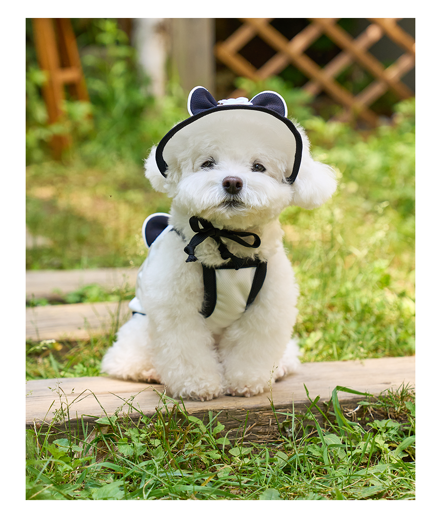 [쿨링] 강아지 아이스팩 러블리 쿨조끼