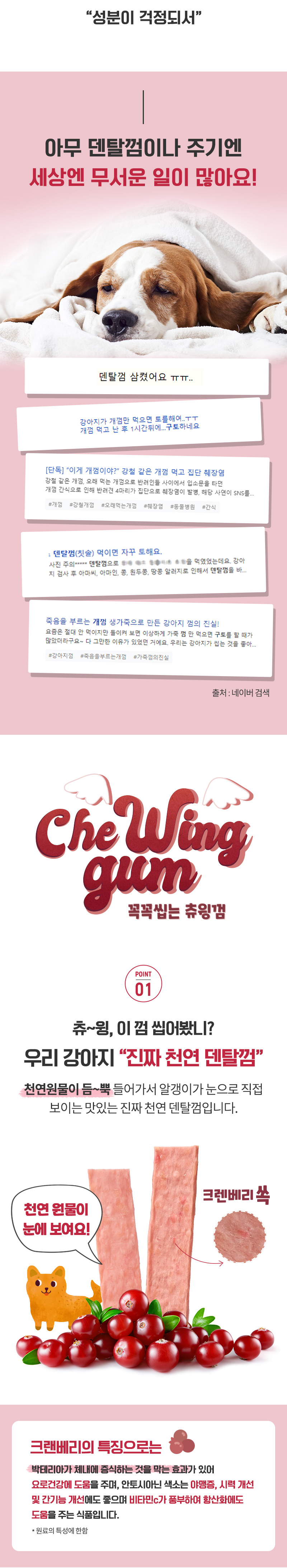 꼭꼭씹는 츄윙껌 크렌베리
