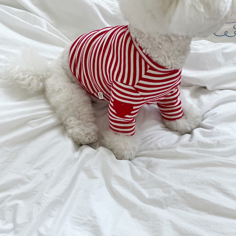 모자 상품상세 이미지-S37L35