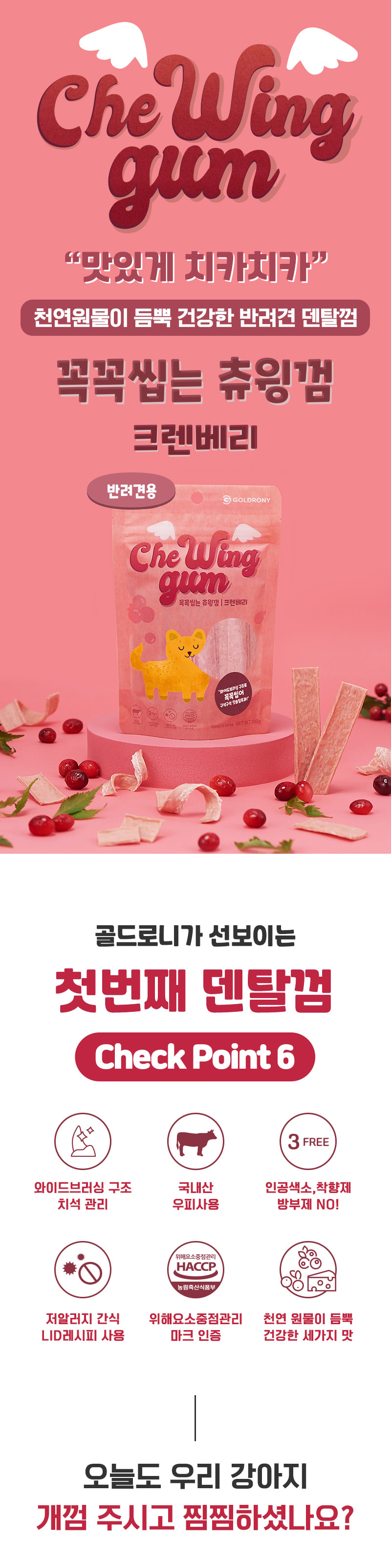 꼭꼭씹는 츄윙껌 크렌베리
