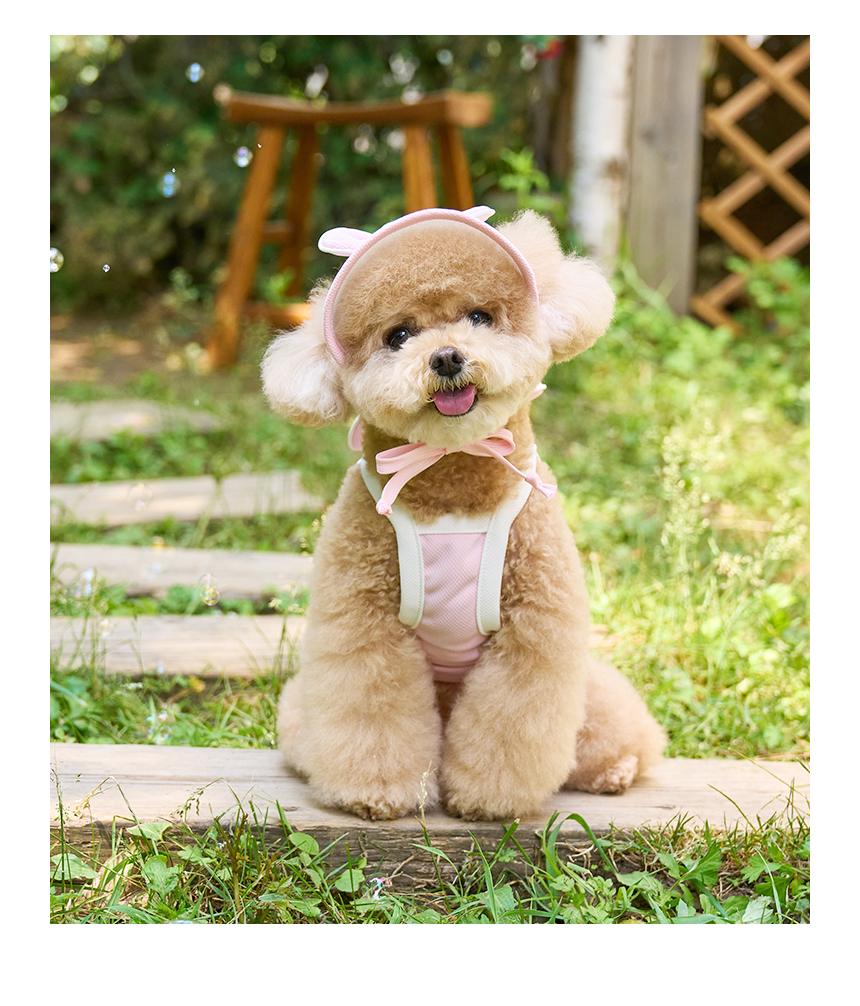 [쿨링] 강아지 아이스팩 러블리 쿨조끼