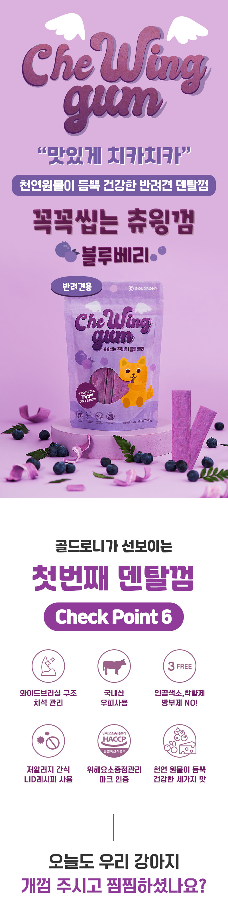 [유통기한 27.07.20] 꼭꼭씹는 츄윙껌 (블루베리)