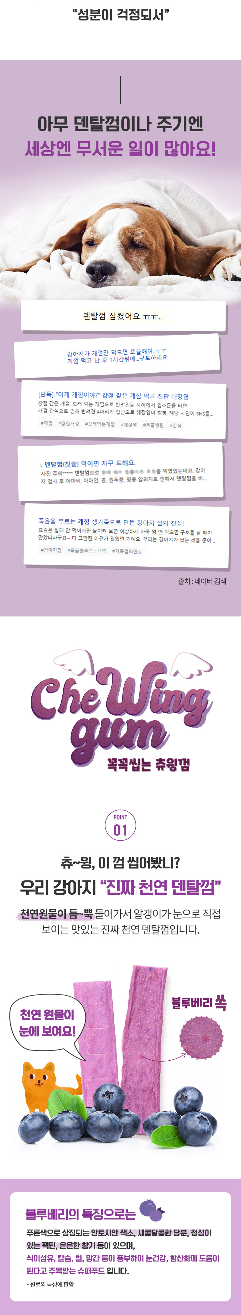 [유통기한 27.07.20] 꼭꼭씹는 츄윙껌 (블루베리)